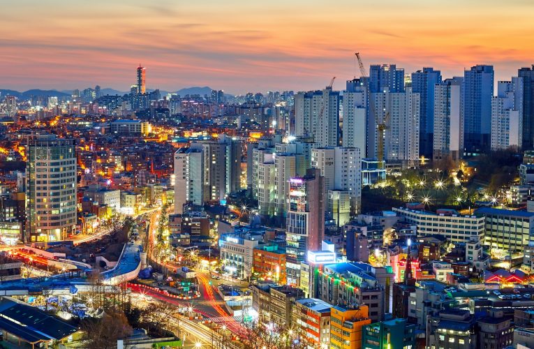 대한민국의 ‘표준 도시’를 향한 딜레마: 메가시티의 화려한 청사진과 사라지는 금개구리